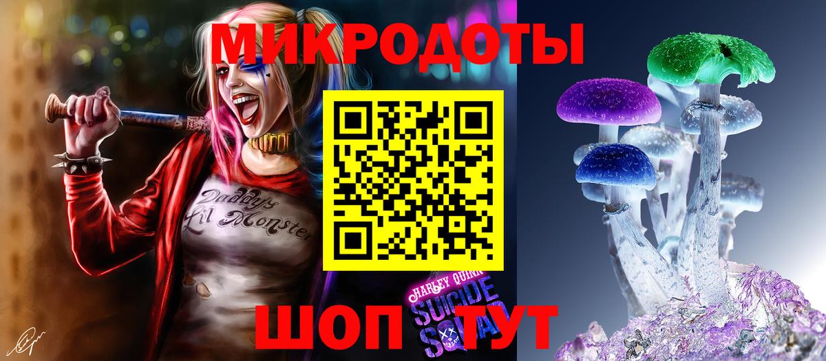 Курчалой  Галлюциногенные грибы Psilocybe  Галлюциногенные грибы ЛСД  Вход с VPN 